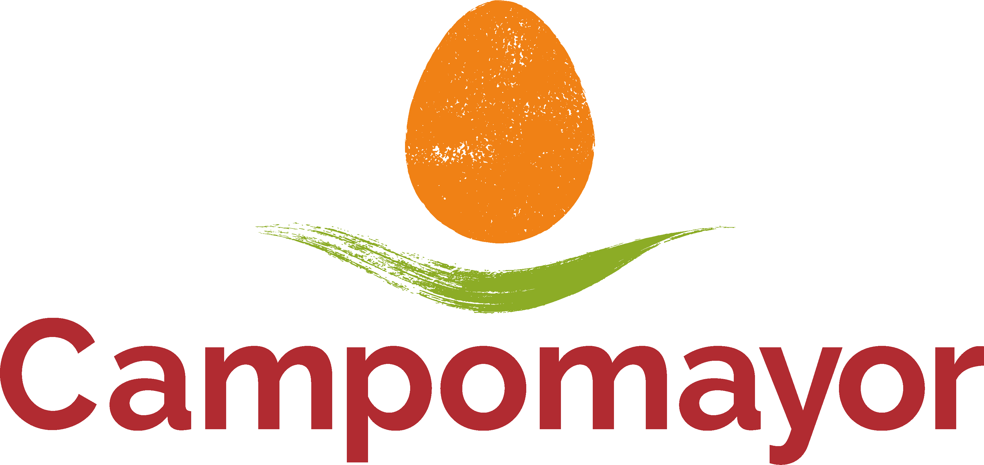 Soporte IT Campomayor